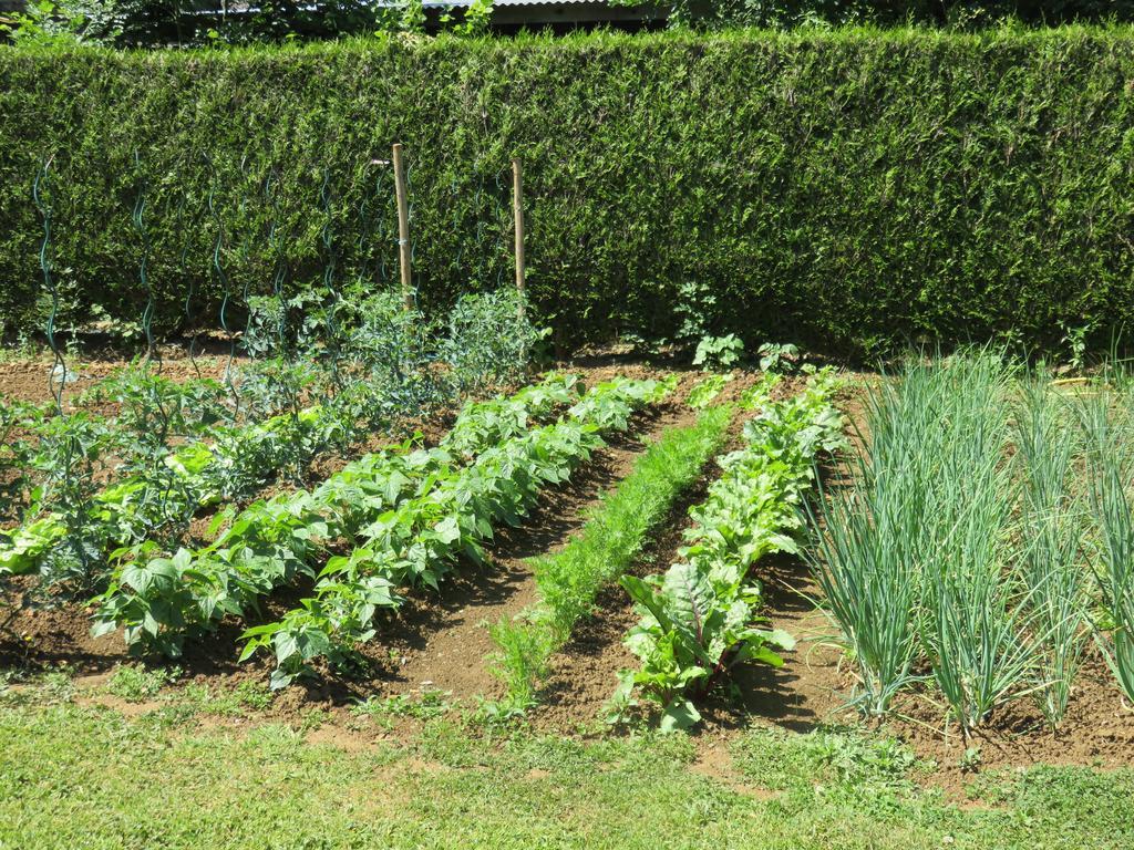 Moitron-sur-Sarthe Les Quatre Saisons B&B 외부 사진