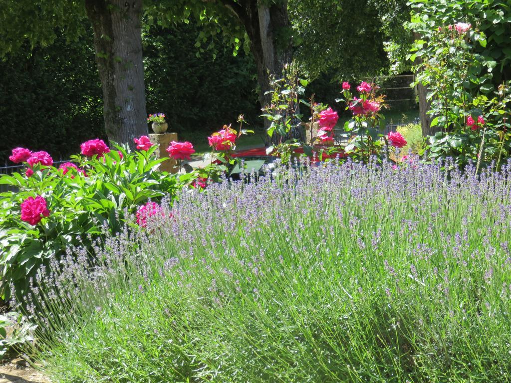 Moitron-sur-Sarthe Les Quatre Saisons B&B 외부 사진