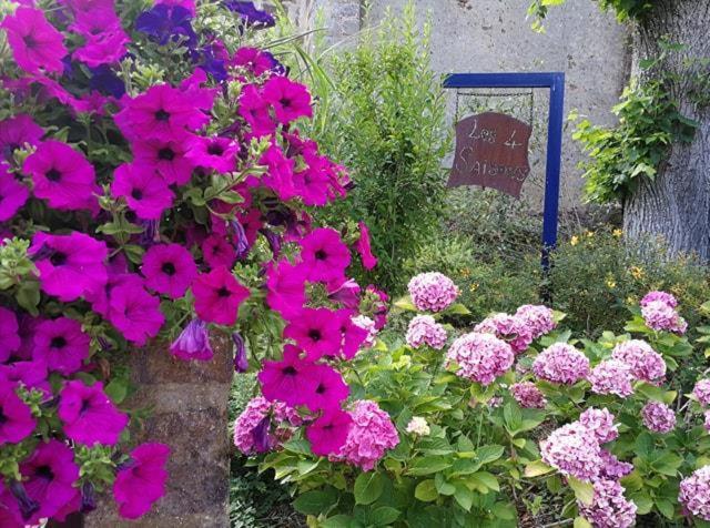 Moitron-sur-Sarthe Les Quatre Saisons B&B 외부 사진